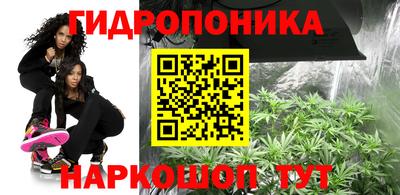 крисы Пугачёв