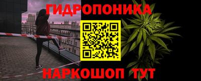 крисы Пугачёв