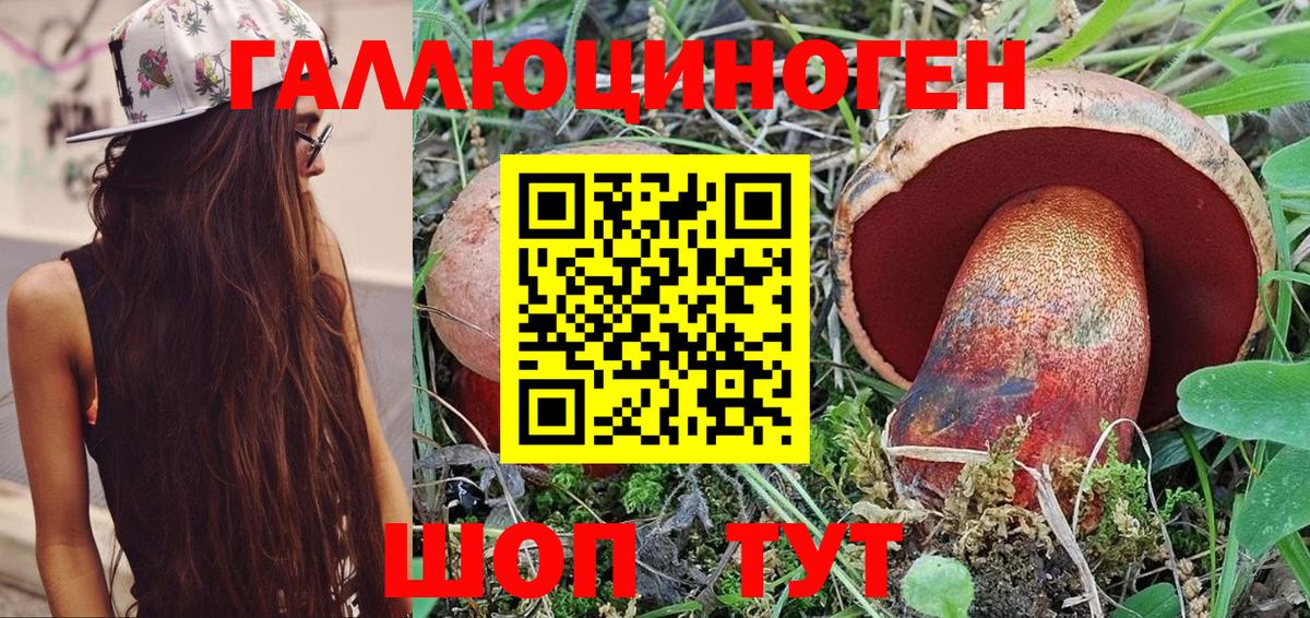 цены наркотик  Галлюциногенные грибы Psilocybe  Вход с VPN  Сланцы 