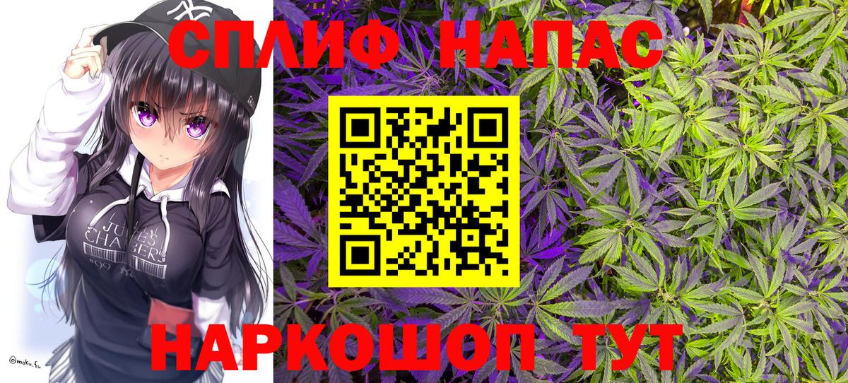 Марихуана план Сланцы